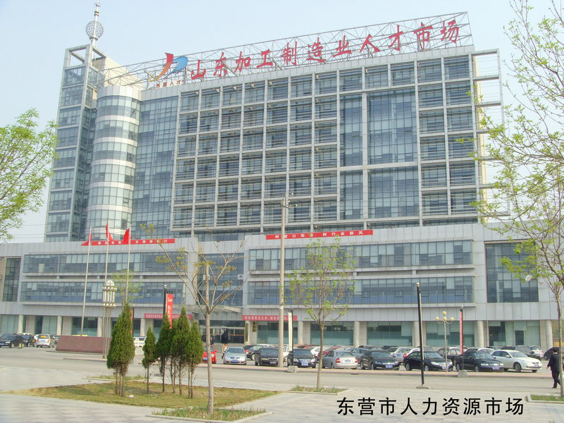 东营市人力资源市场